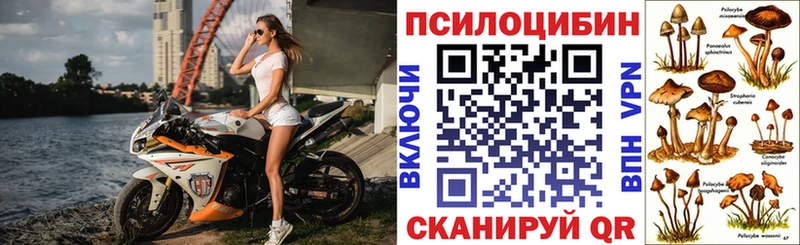 МЕГА ссылка  Власиха  Галлюциногенные грибы мицелий 